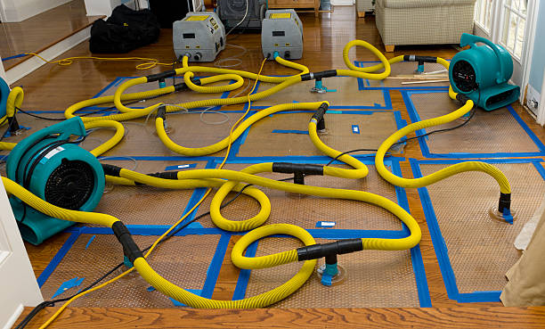 Professional Crawl Space Water Removal technician working in Shelter Island, NY
